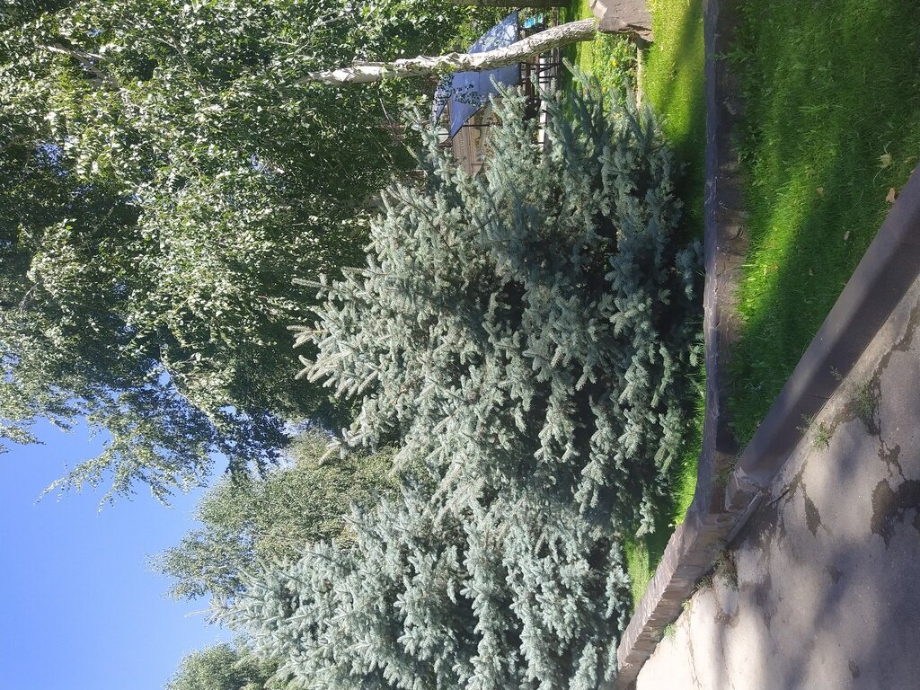 Фото из отзыва от 15.07.2022