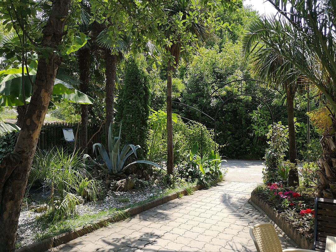 Территория | Форелька, Гагрский район