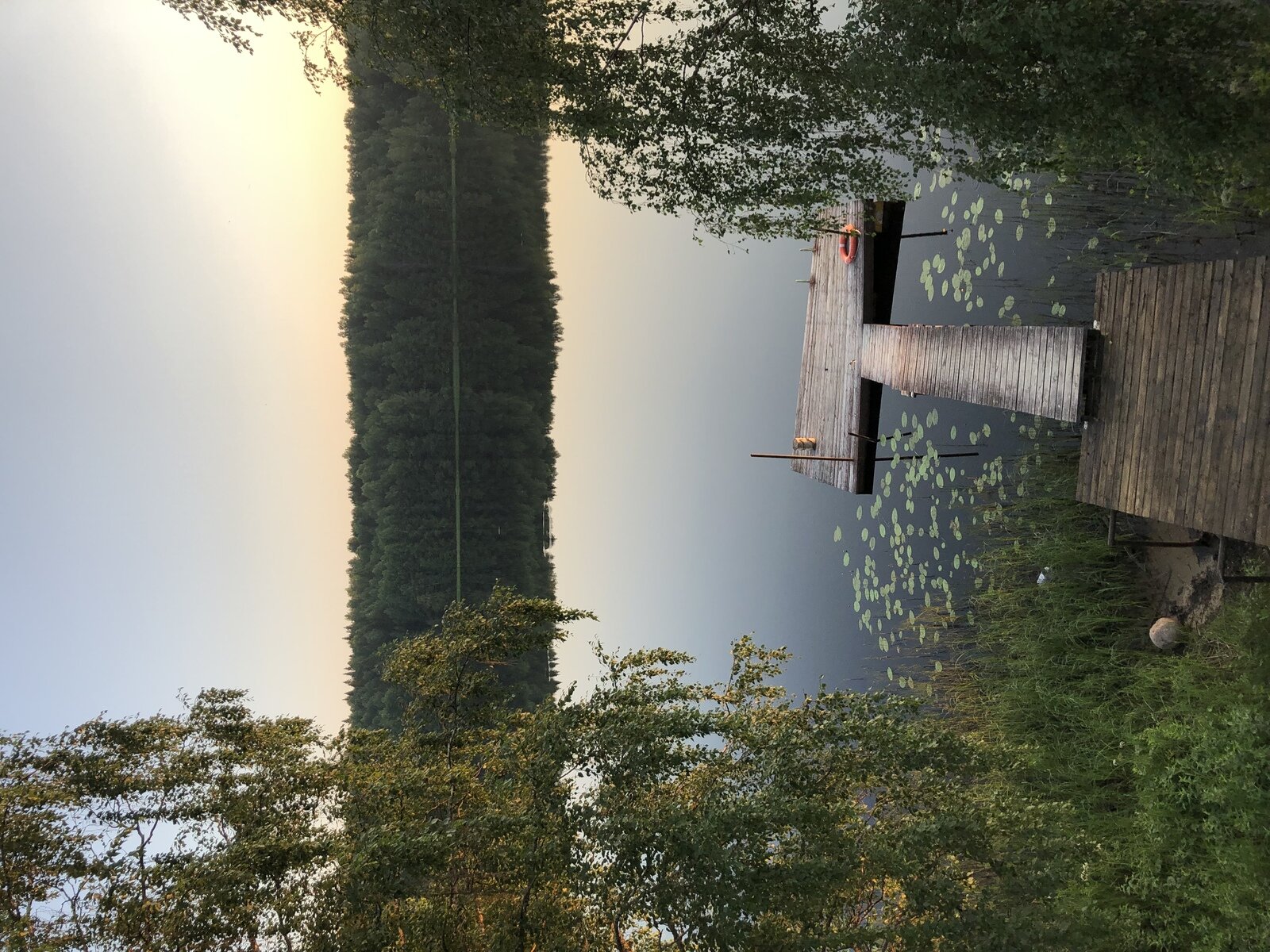 Фото 51 из отзыва о базе отдыха Лесное озеро