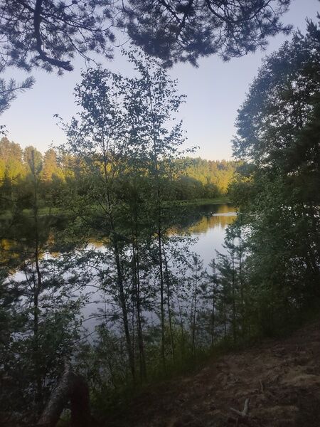 Фото 1 из отзыва о гостевом доме Алавойне