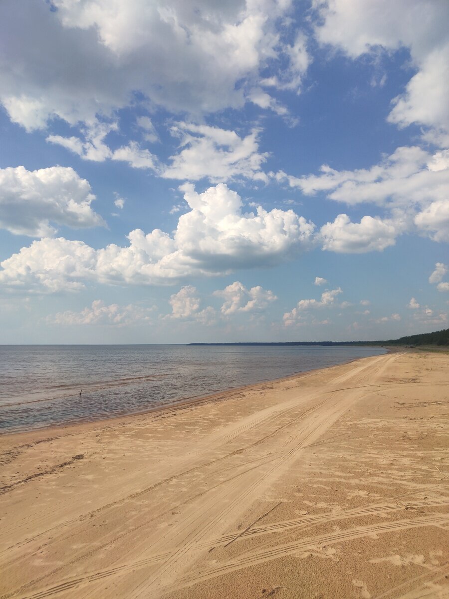 Фото 12 из отзыва о гостевом доме Алавойне