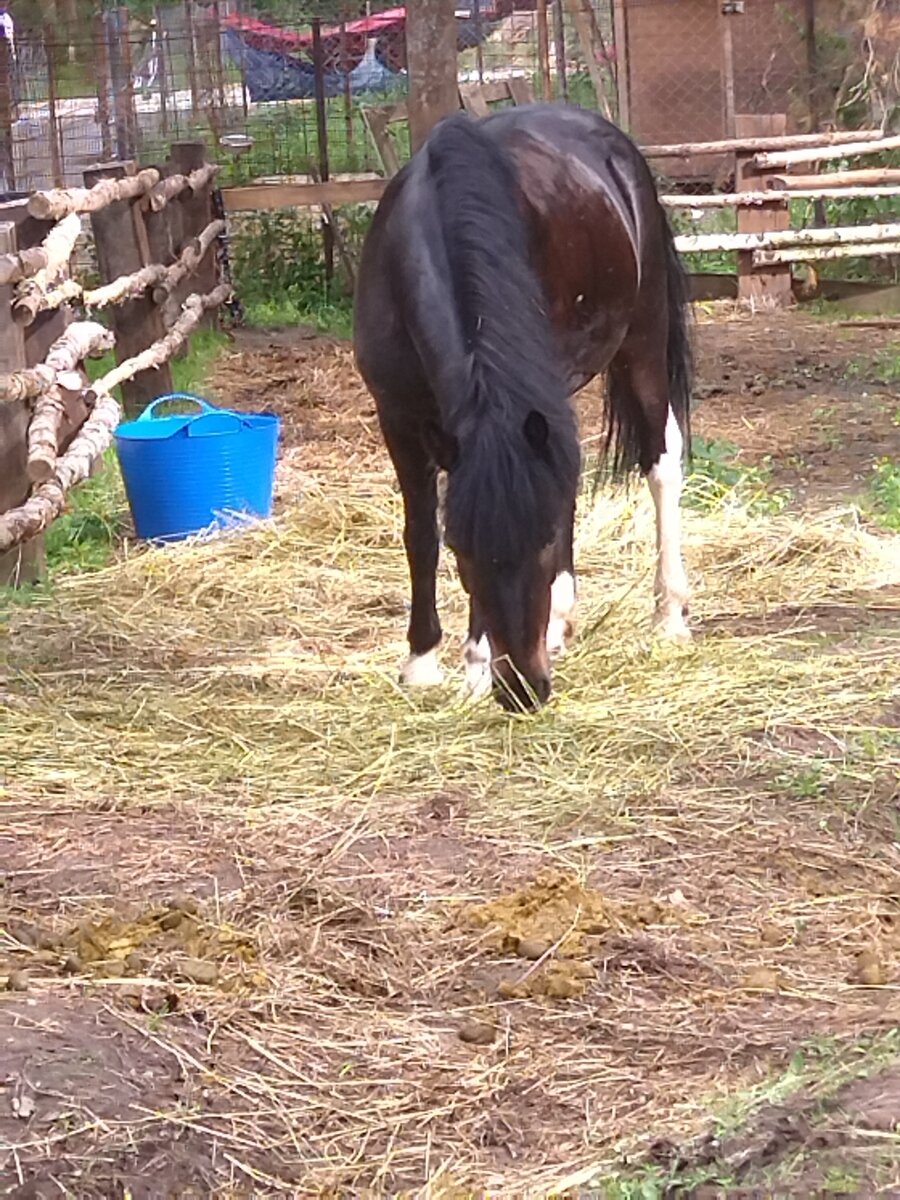 Фото 22 из отзыва об экопарке Лесной ключ