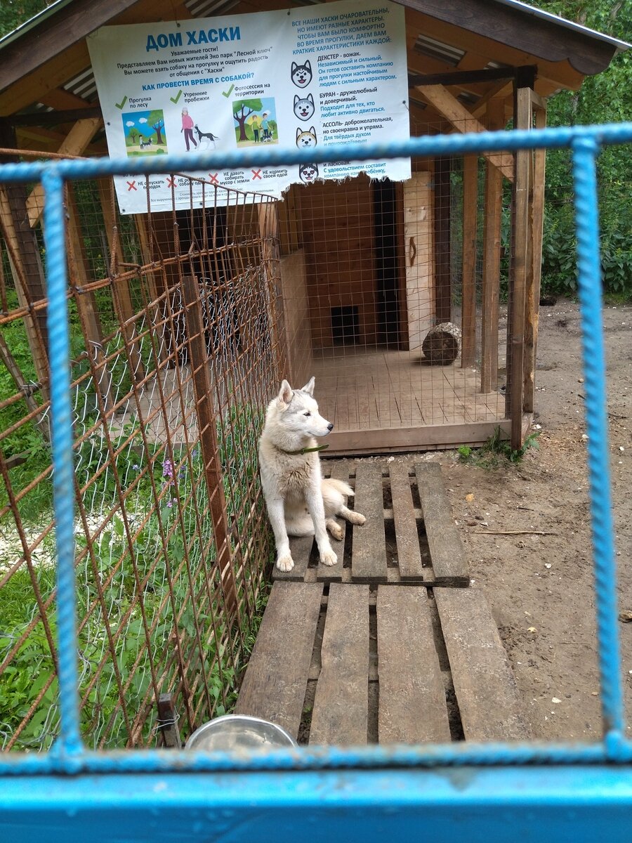 Фото 24 из отзыва об экопарке Лесной ключ