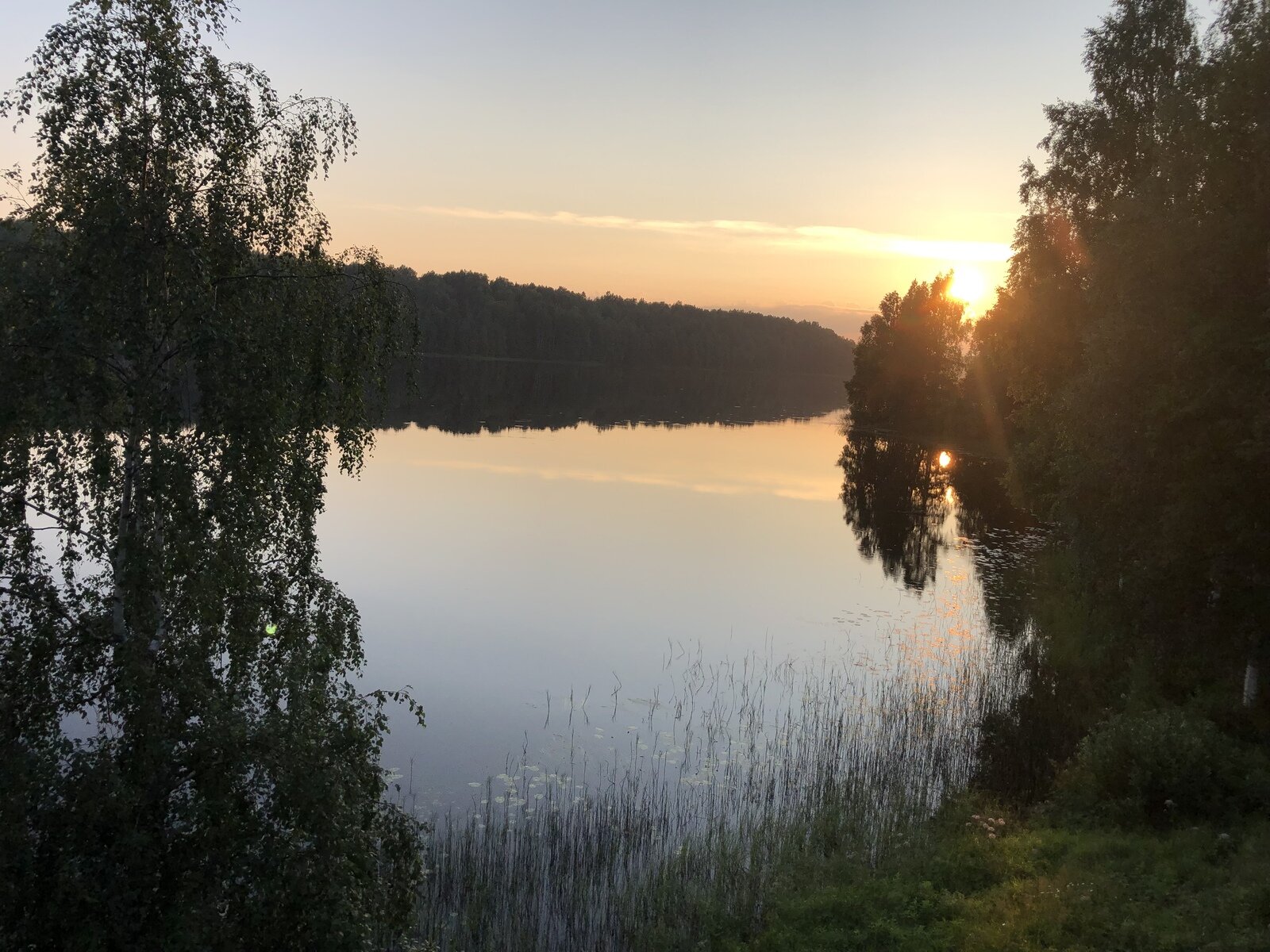 Фото 47 из отзыва о базе отдыха Лесное озеро