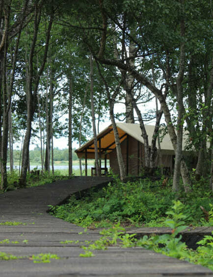 Свобода, Тверская область: фото 5