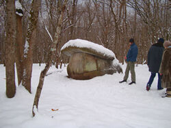 Лес | Горный приют, Краснодарский край