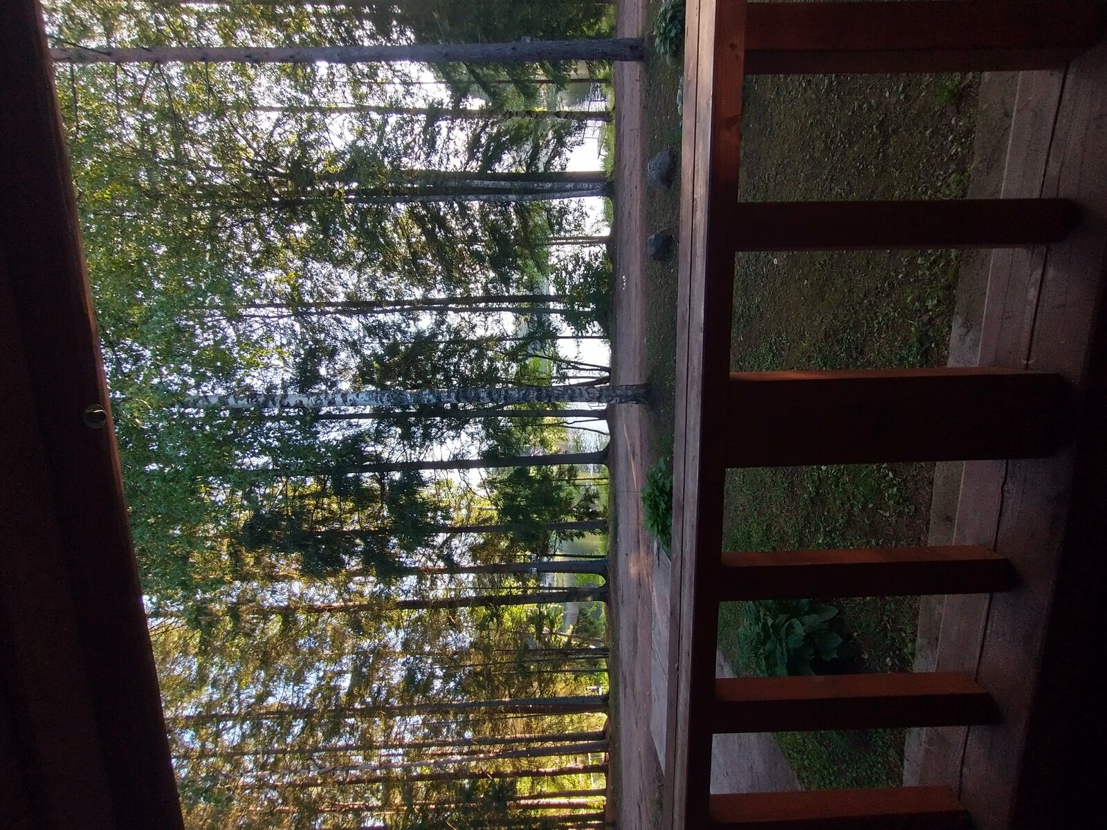 Фото 16 из отзыва о загородном клубе Valday Hunting & Country Club