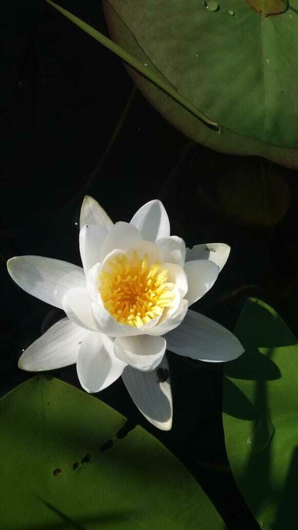 Фото 5 из отзыва о базе отдыха Охотник и рыболов