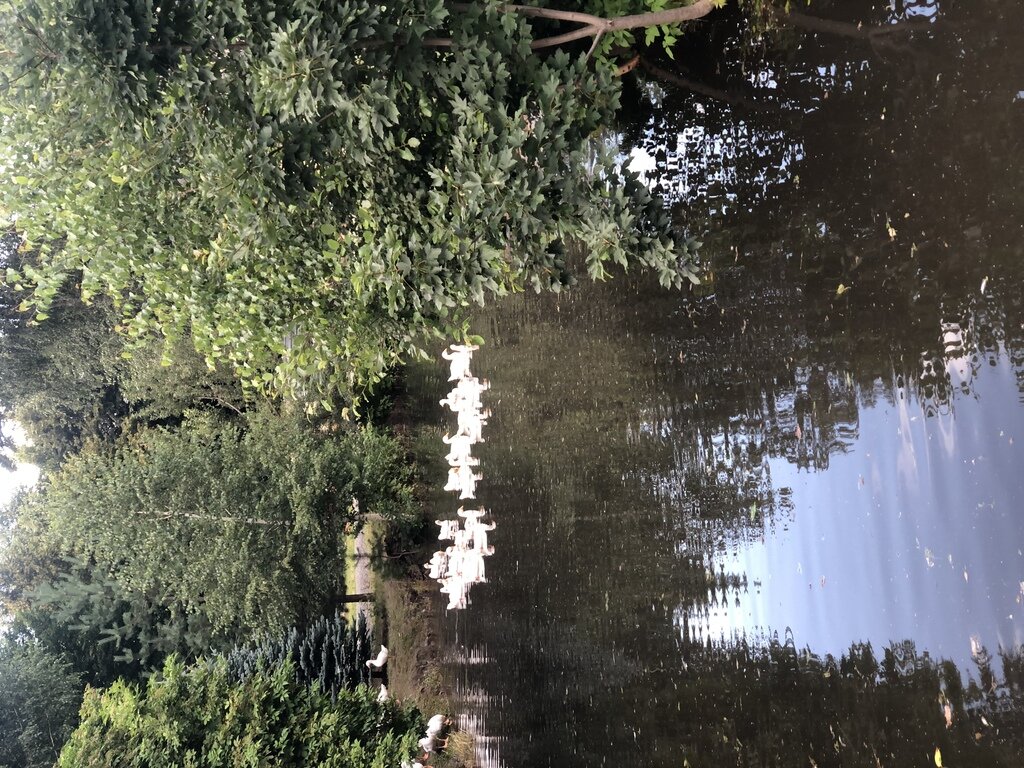 Фото из отзыва от 25.07.2022