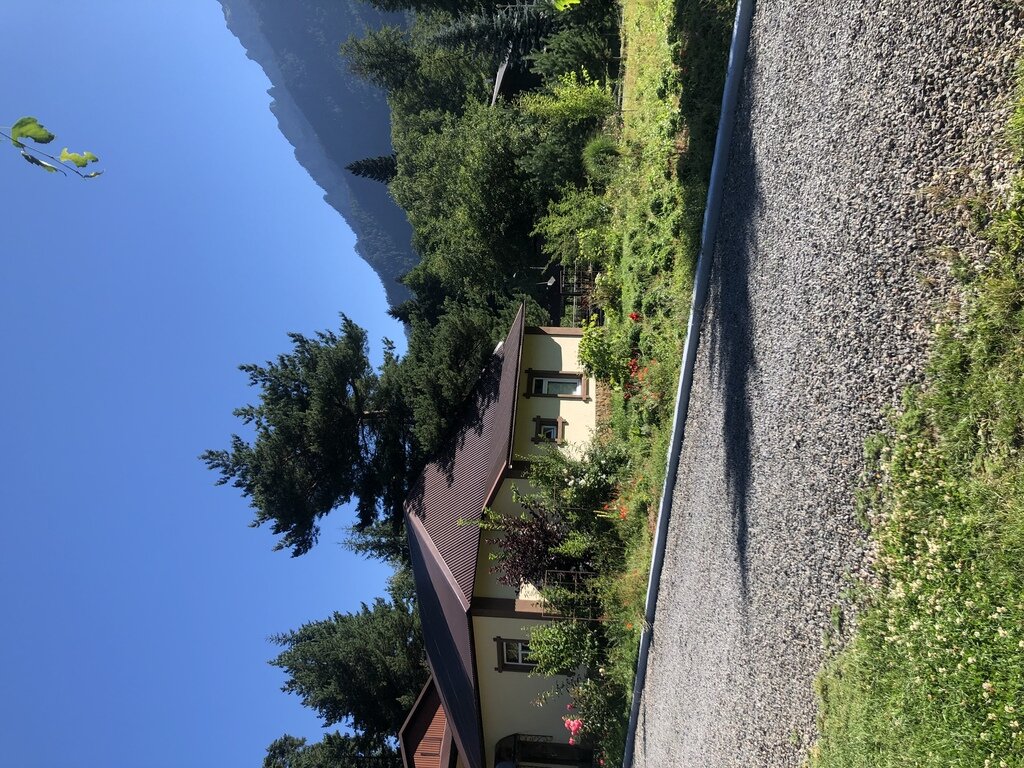 Фото из отзыва от 25.07.2022