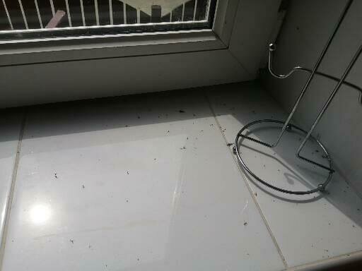 Фото из отзыва от 18.07.2022