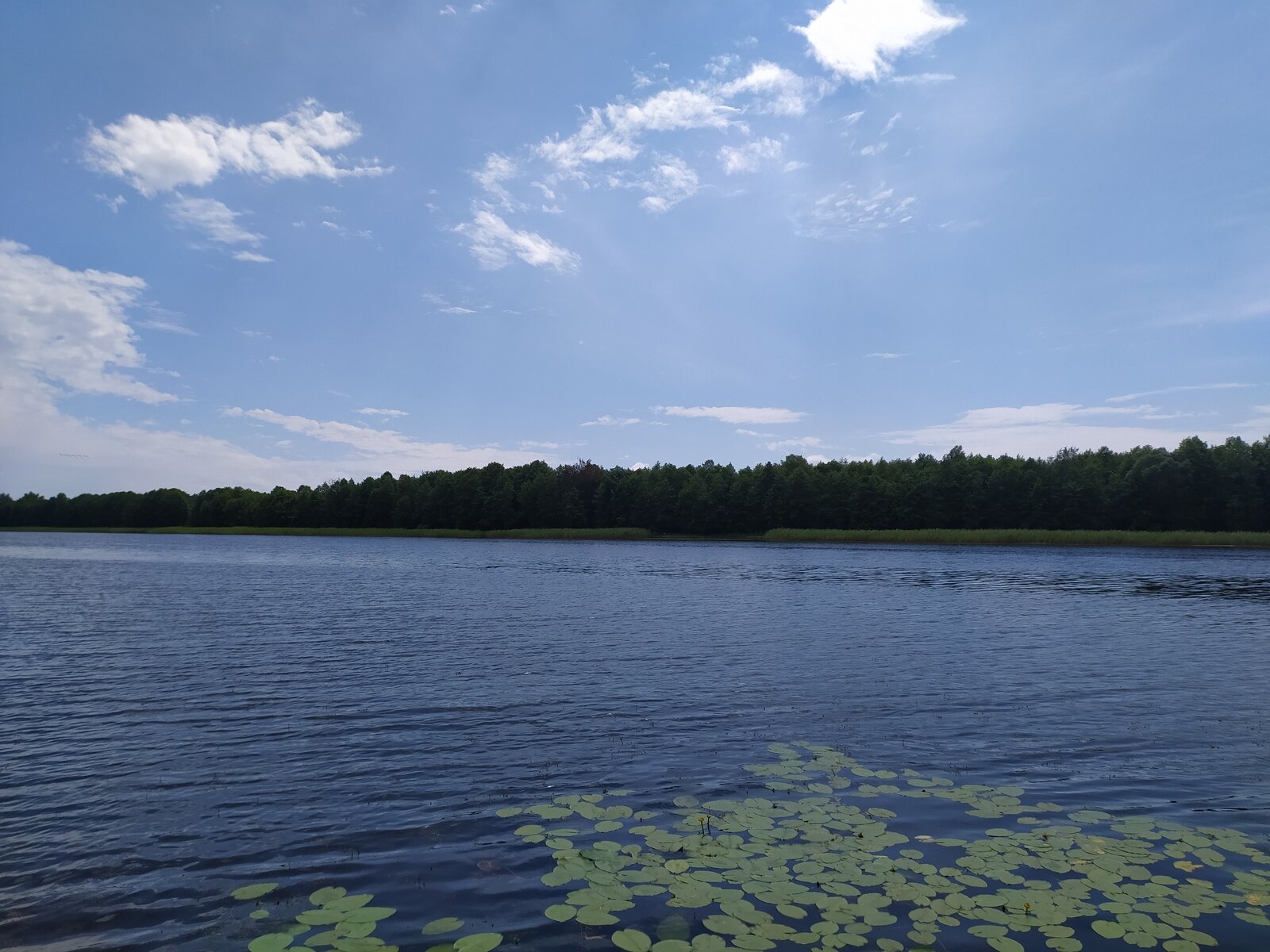 Фото 14 из отзыва о гостевом доме Арк-Путьково