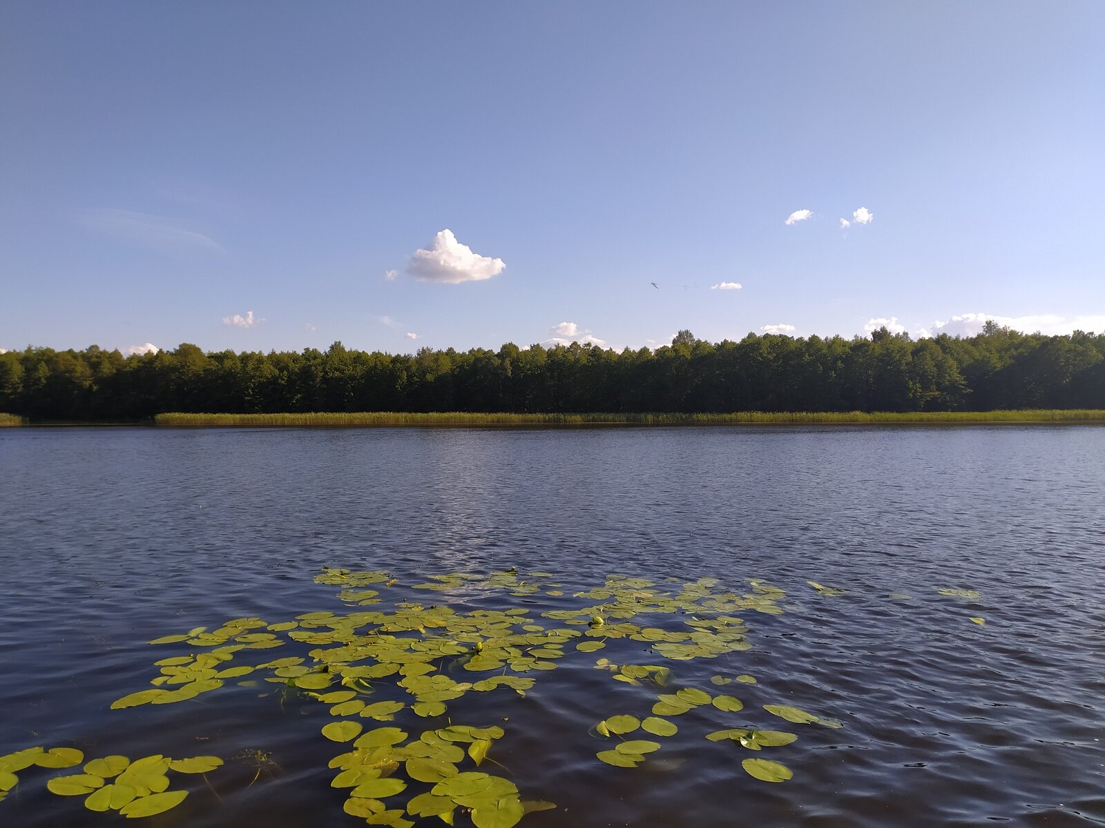 Фото 16 из отзыва о гостевом доме Арк-Путьково