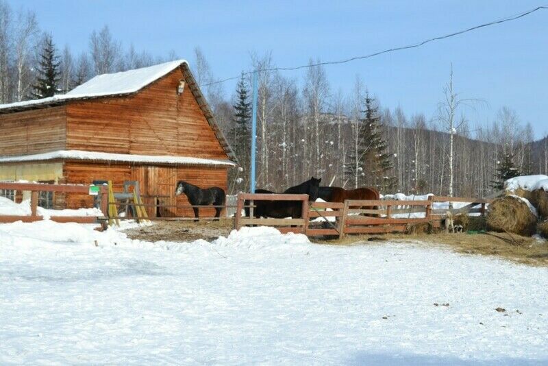 Деревянный корпус | Белая корона, Красноярский край