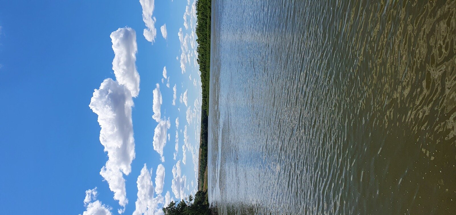 Фото 8 из отзыва о базе отдыха Донские зори