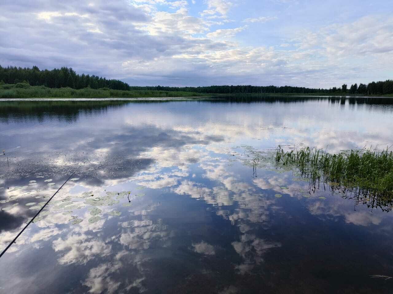Фото 15 из отзыва о гостевом доме У озера