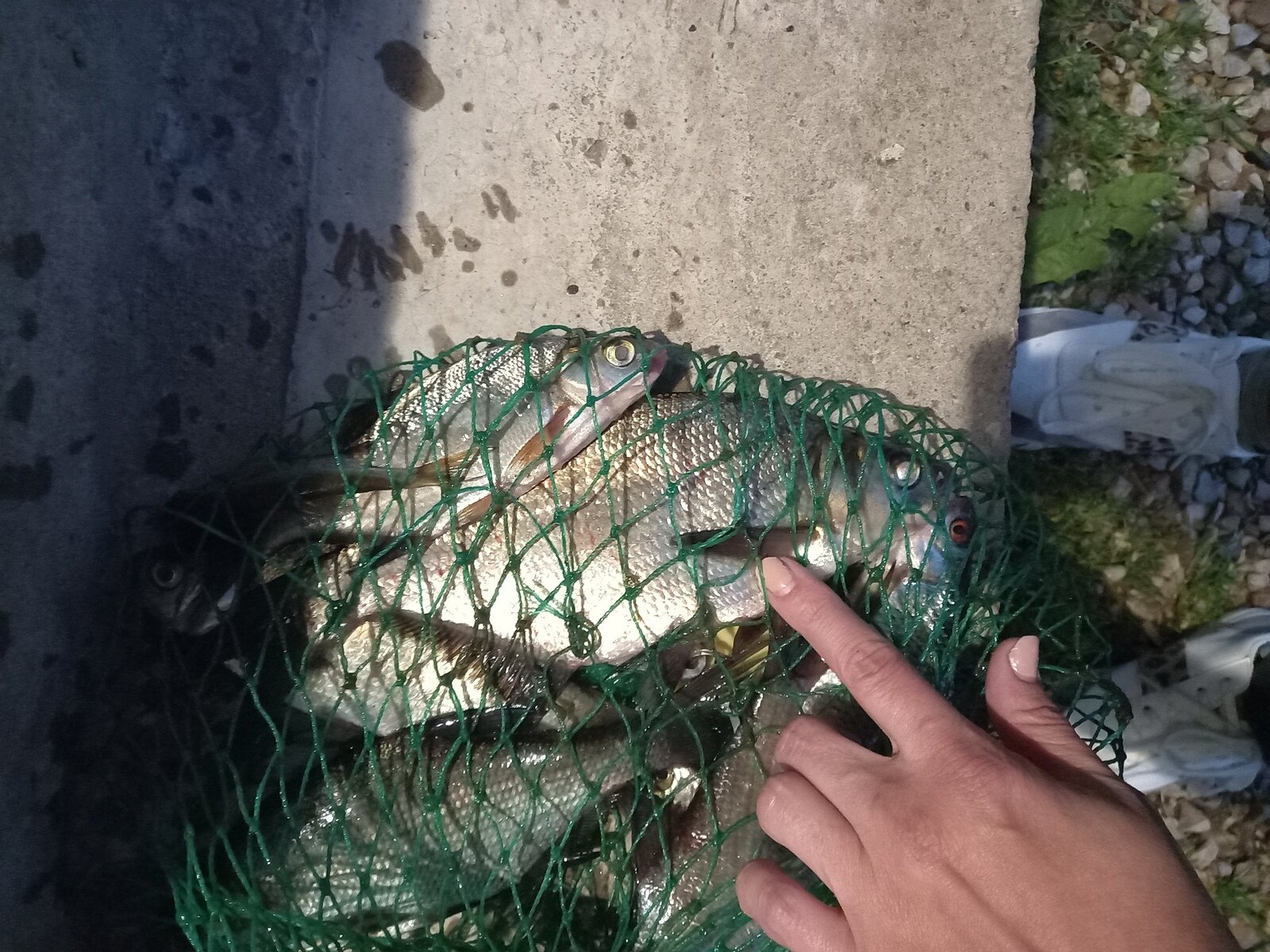 Фото 12 из отзыва о гостевом доме У озера