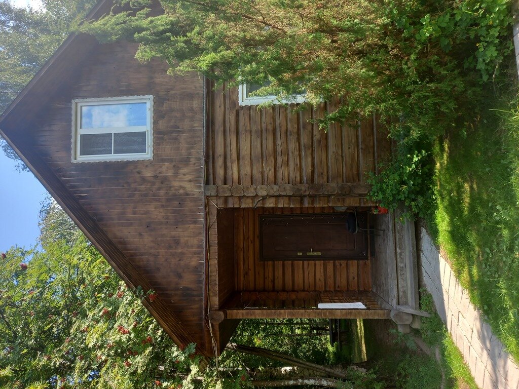 Фото из отзыва от 01.08.2022