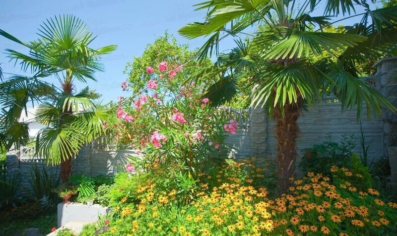 Гостевой дом Гаяне, Краснодарский край, Сочи Лоо