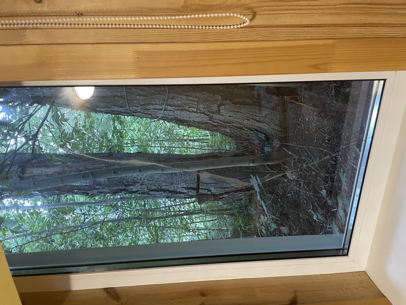 Фото 4 из отзыва об усадьбе Ампиала