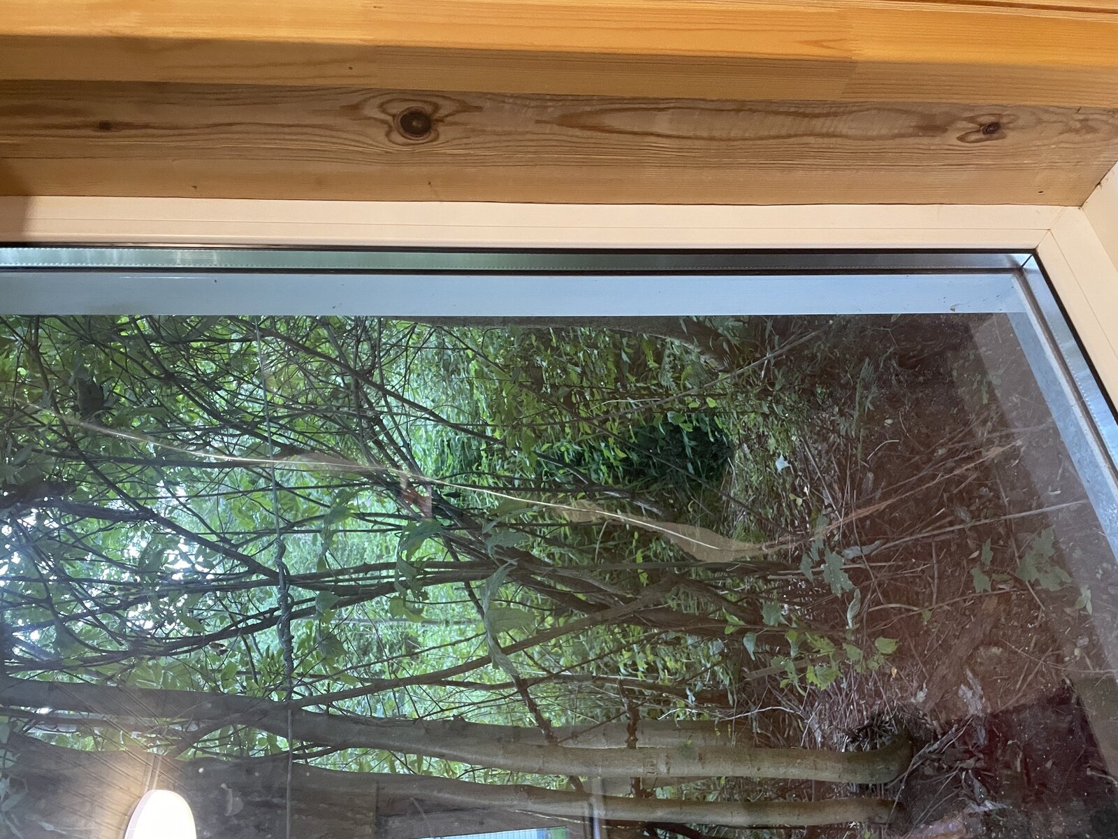 Фото 7 из отзыва об усадьбе Ампиала