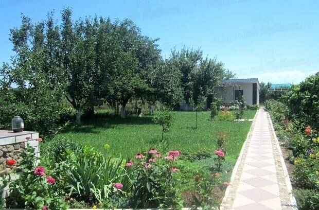 Территория гостевого дома | Летний сад, Краснодарский край