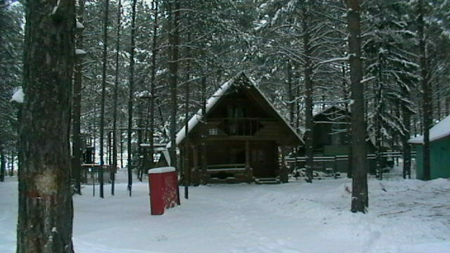 В лесу | Связист, Пермский край