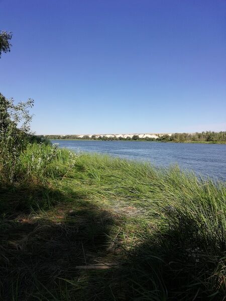 Фото 1 из отзыва о базе отдыха Левбердон