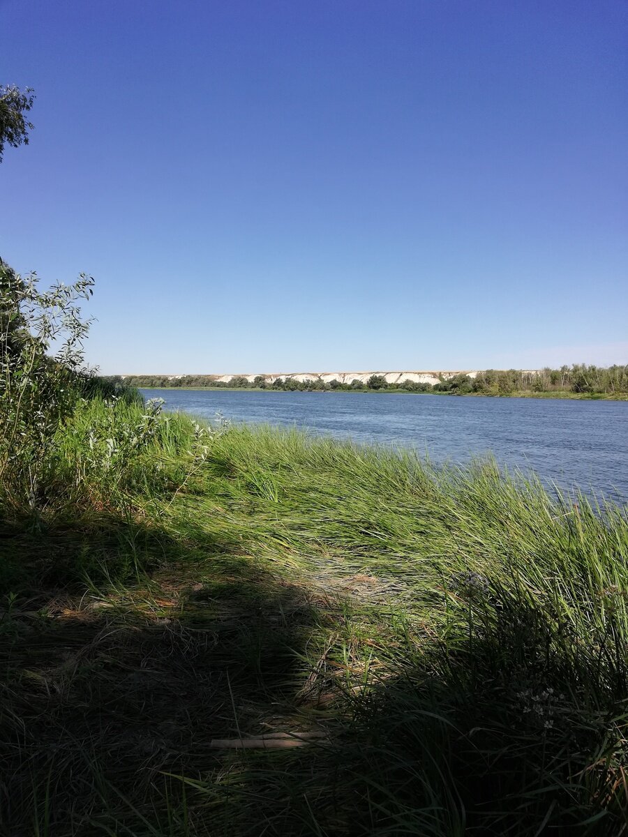 Фото 6 из отзыва о базе отдыха Левбердон