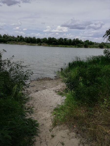 Фото 4 из отзыва о базе отдыха Левбердон