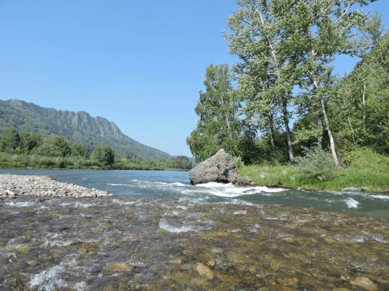 Гостевой дом Ханхара, Краснощёковский район, Алтайский край