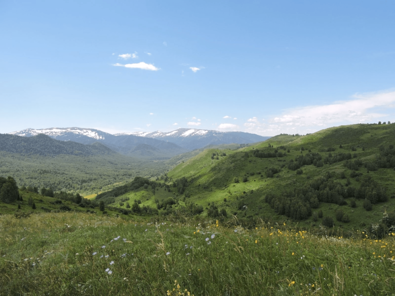 Ханхара, Алтайский край: фото 5