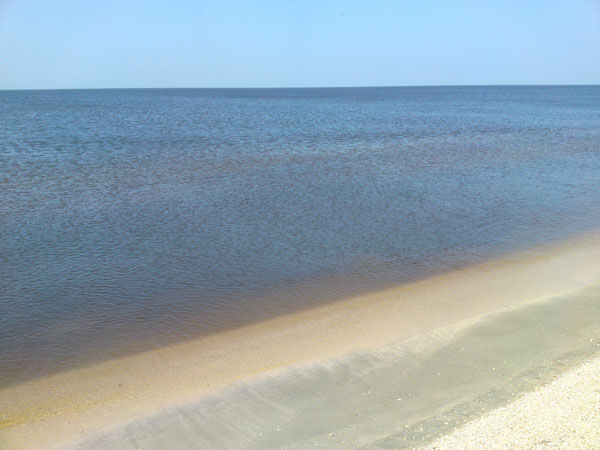 Кучугуры, Краснодарский край: фото 5