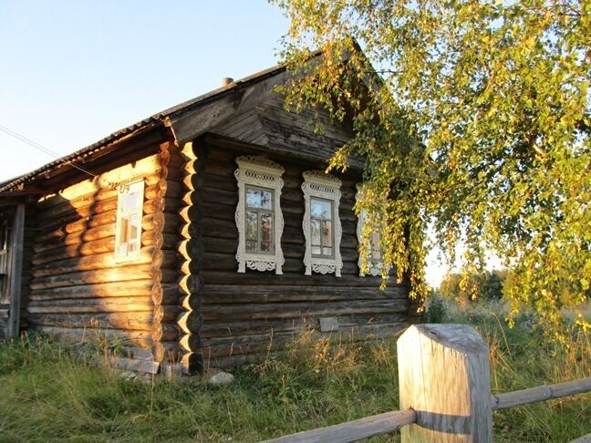 В тени от деревца