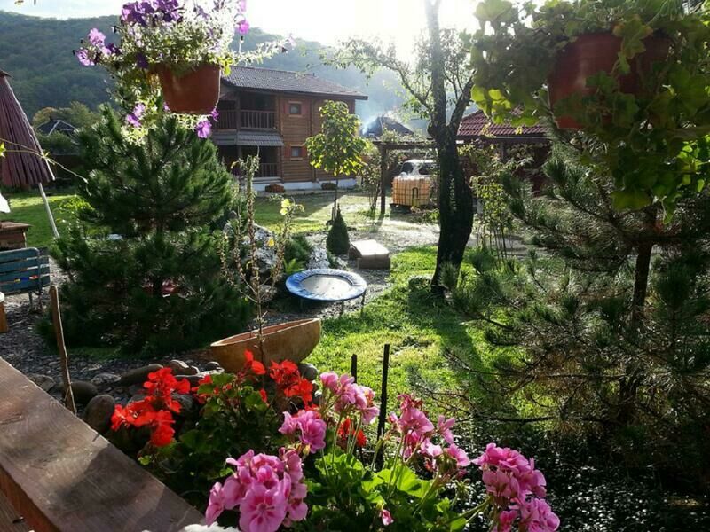 Чудесные растения | Данилова дача, Республика Адыгея