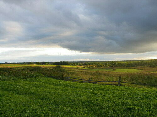 Зеленое море