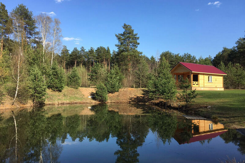 Березовый мостик, Московская область: фото 2