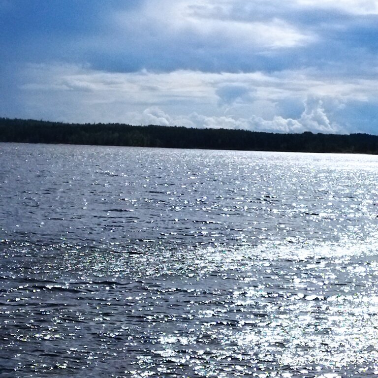 Фото из отзыва от 03.08.2022