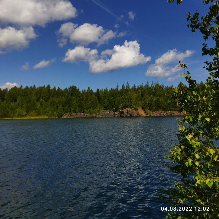 Фото из отзыва от 03.08.2022