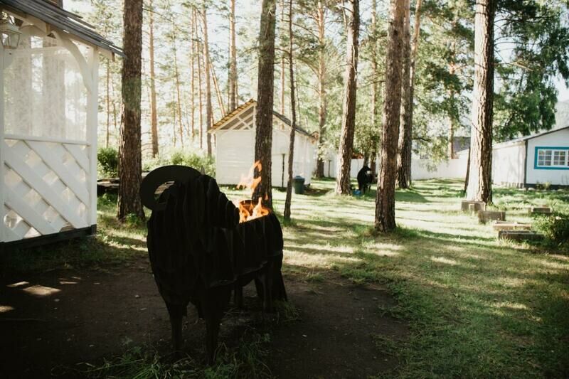 Территория | Прованс, Горный Алтай (Республика Алтай)