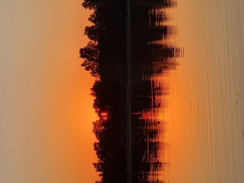 Фото 2 из отзыва об эко-отеле Новый Ковчег