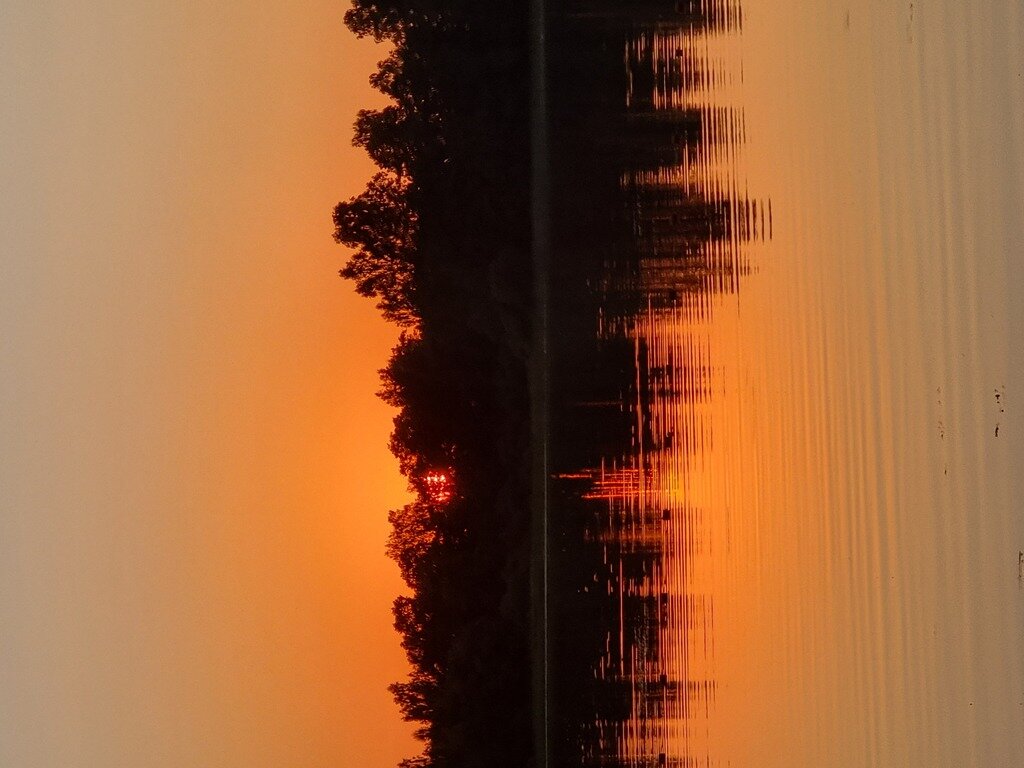 Фото из отзыва от 01.08.2022