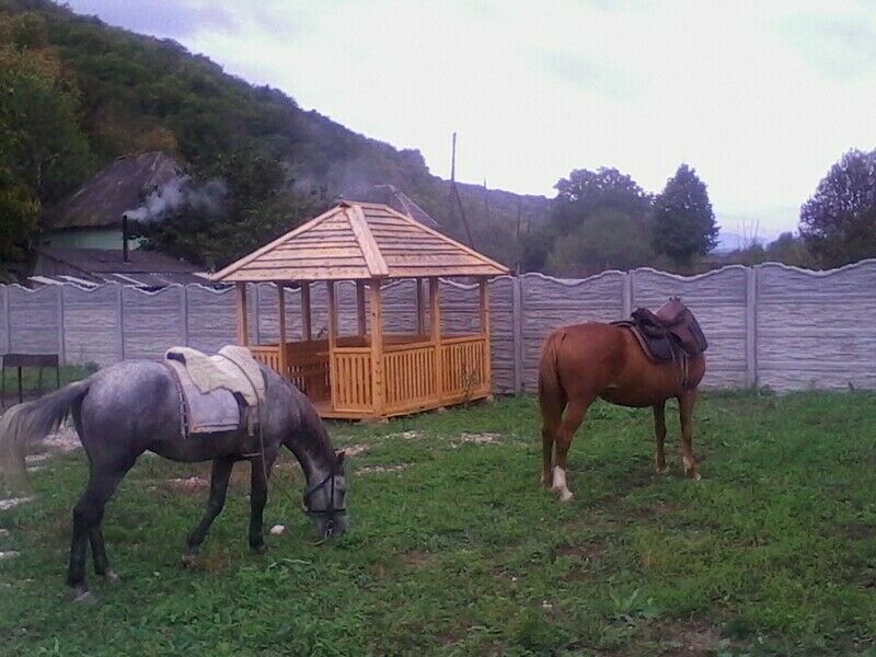 Конные прогулки | Близнецы у реки, Республика Адыгея