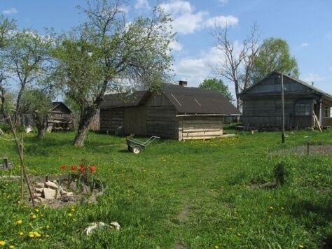 Территория домика | Тихая усадьба, Калужская область