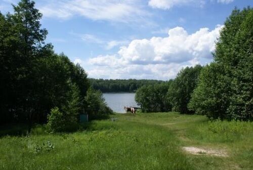 Природа | Кусторка, Нижегородская область