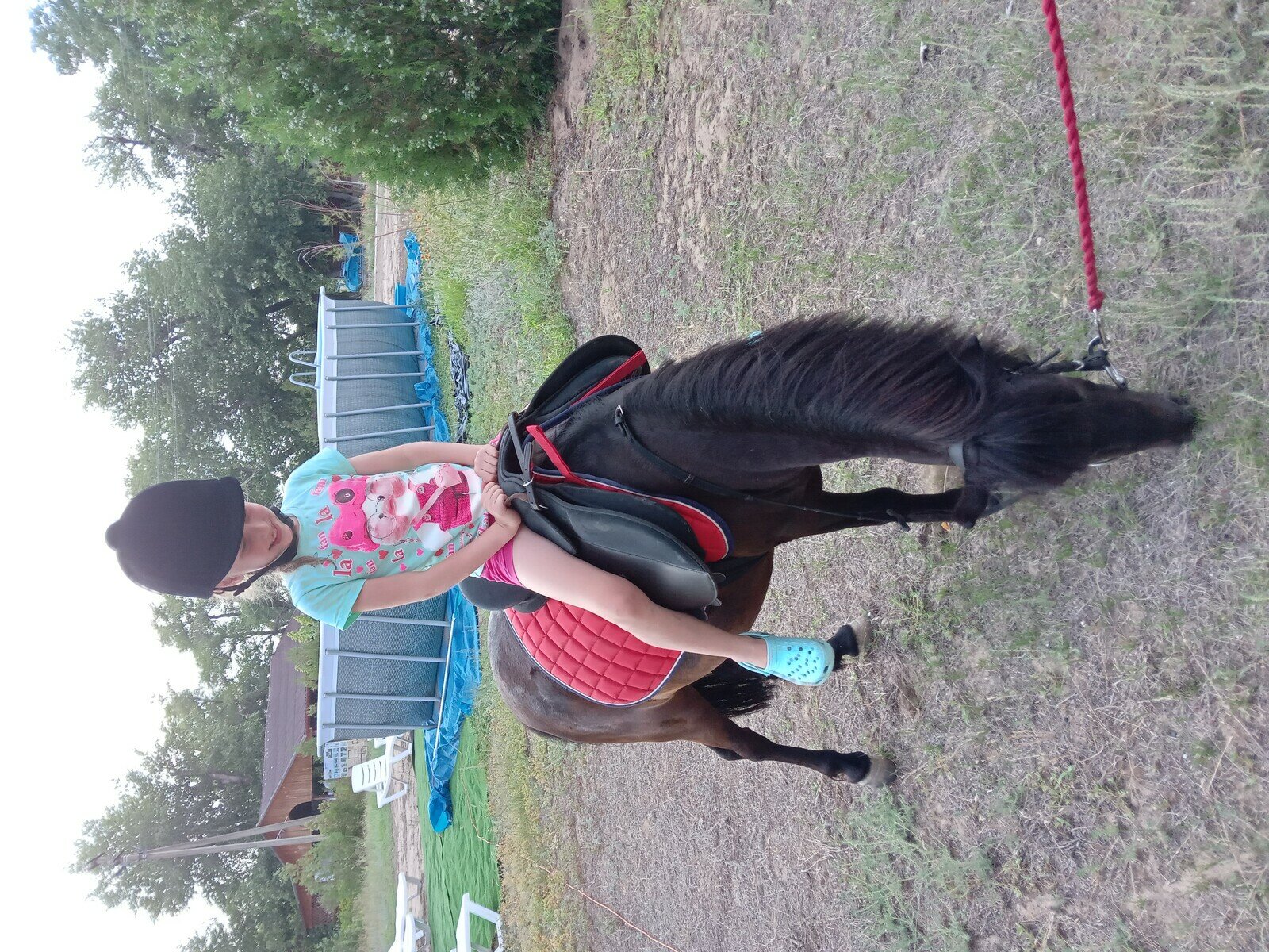 Фото 231 из отзыва о базе отдыха Донская Миля