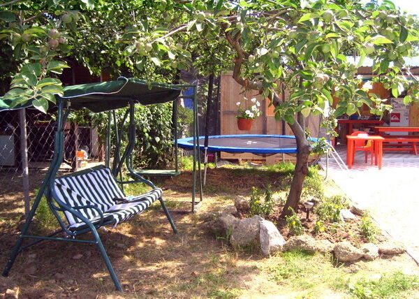 Оранжевое лето, Краснодарский край: фото 2