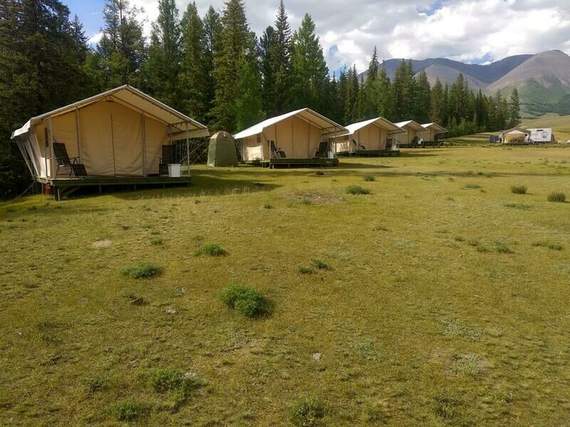 Территория | Глэмпинг Курай, Горный Алтай (Республика Алтай)