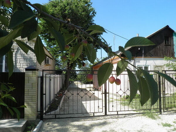 Оранжевое лето, Краснодарский край: фото 5