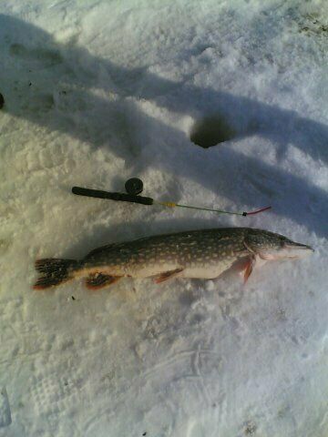 Рыбалка | Провинция, Пермский край